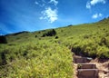 Steep Path to the Top of a Mountain