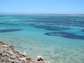 Steep Point, Westernmost Point, Shark Bay, Western Australia Royalty Free Stock Photo