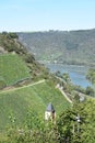 steep Rhine valley vineyards with watch tower Postenturm Royalty Free Stock Photo