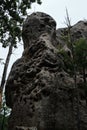 Steep rock with holes. Interesting rock formation, top of mountain in close up. Rock has unusual curved shape. Place in forest for
