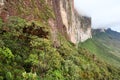 The steep rock wall of Monte Roraima Royalty Free Stock Photo
