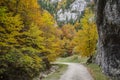 Steep rock walls and autumn colors in Zarnestiului Gorge