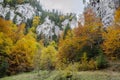 Steep rock walls and autumn colors in Zarnestiului Gorge Royalty Free Stock Photo