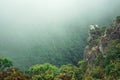 Steep rocky cliff with bushes and mist