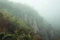 Steep rocky cliff with bushes and mist Royalty Free Stock Photo