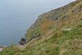 Rocky Cliffs along the north sea coast of howth , ireland Royalty Free Stock Photo