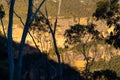 Steep rocky mountain wall Blue Mountains Australia Royalty Free Stock Photo