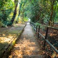 Steep stairs pathway Royalty Free Stock Photo