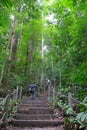 A steep stairway labelled the Summit Path leads up to the top of Bukit Timah Hill, Singapore