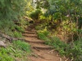 Steep steps in the dirt path of Kalalau trail on Na Pali coast of Kauai