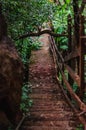 Steep steps down a path in a forest Royalty Free Stock Photo