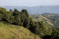 Steep Tree Covered Hillside Leading into Valley Royalty Free Stock Photo