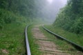 Steep turn of railways in the green forest with a misty obscure view ahead