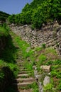 Steep vineyard stairs and vineyard walls made of natural stones under a blue sky   2 Royalty Free Stock Photo