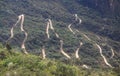 Steep winding road leading up to Machu Picchu from