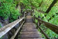 Steep wooden steps leading down into a forest - taken at Ha Ha Tonka State Park on the spring trail