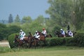 Steeplechase in Lysa nad Labem Royalty Free Stock Photo