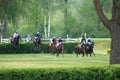 Steeplechase in Lysa nad Labem Royalty Free Stock Photo