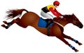 Steeplechase race horse jumping Royalty Free Stock Photo