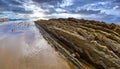 Steeply-tilted Layers of Flysch, GuipÃÂºzcoa, Spain
