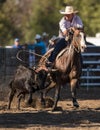 Rope that Steer Royalty Free Stock Photo