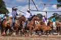 Steer Roping Team Royalty Free Stock Photo