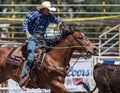 Steer Roping Time Royalty Free Stock Photo