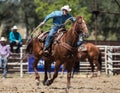 Steer Roping Time Royalty Free Stock Photo