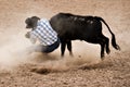 Steer wrestling