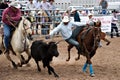 Steer wrestling