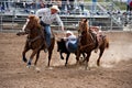 Steer wrestling