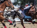 Steer Wrestling Cowboy