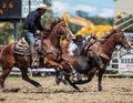 Steer Wrestling Cowboy Royalty Free Stock Photo