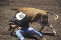 Steer Wrestling, Earl Warren Fairgrounds, Fiesta Rodeo, Stock Horse Show, Santa Barbara Old Spanish Days, CA