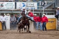 Steer Wrestling - PRCA Sisters, Oregon Rodeo 2011 Royalty Free Stock Photo