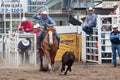 Steer Wrestling - PRCA Sisters, Oregon Rodeo 2011 Royalty Free Stock Photo
