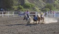 Steer Wrestling rodeo competition