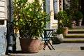 urban street detail in bright summer lihgt with gren plants and concrete steps Royalty Free Stock Photo