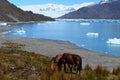 Steffen glacier in Campo de Hielo Sur Southern Patagonian Ice Field, Chilean Patagonia Royalty Free Stock Photo