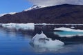 Steffen glacier in Campo de Hielo Sur Southern Patagonian Ice Field, Chilean Patagonia Royalty Free Stock Photo