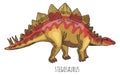 Stegosaur dinosaur color drawing. Wild ancient herbivore Royalty Free Stock Photo