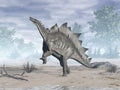 Stegosaurus dinosaur in the desert - 3D render Royalty Free Stock Photo