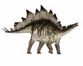 Stegosaurus dinosaur standing and roaring - 3D render Royalty Free Stock Photo