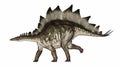 Stegosaurus dinosaur walking straight ahead - 3D render Royalty Free Stock Photo