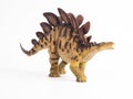 Stegosaurus Dinosaur on white background