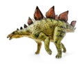 Stegosaurus, genus of armored dinosaur. Royalty Free Stock Photo