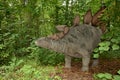Stegosaurus Royalty Free Stock Photo