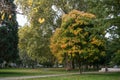 Steinbach park with autumnal trees