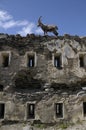 Steinbock - Fort Malamot - 1889 - 2.917m