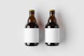 Steinie beer bottle mockup with blank label